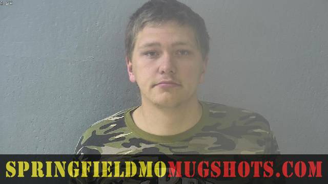 Brandon Lamm