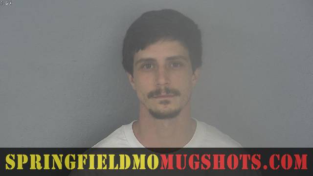 Andrew Angeli