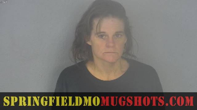 Amy Fortin