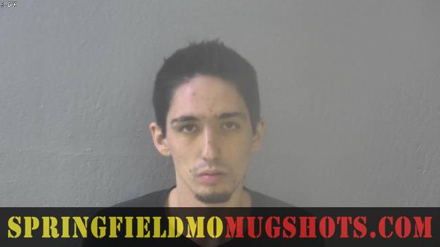 Gavyn Davy