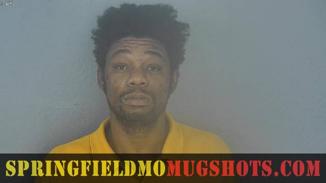 David Reed