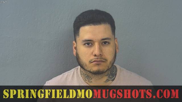 Damian Arreola-chico