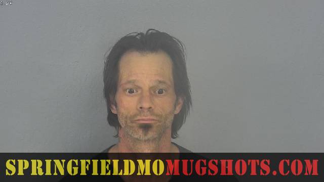 Shannon Forkner