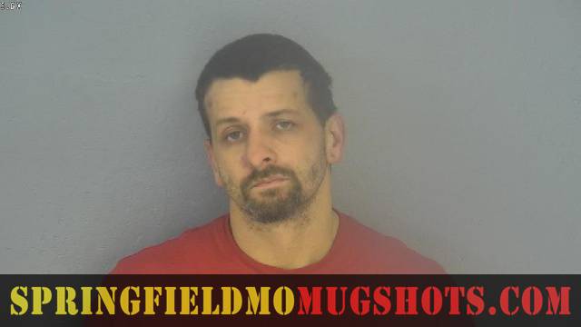 Andrew Versteegh