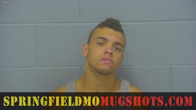 Dominick Haynes