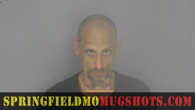 Matthew Hays