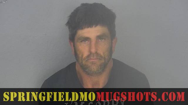 Daniel Todd