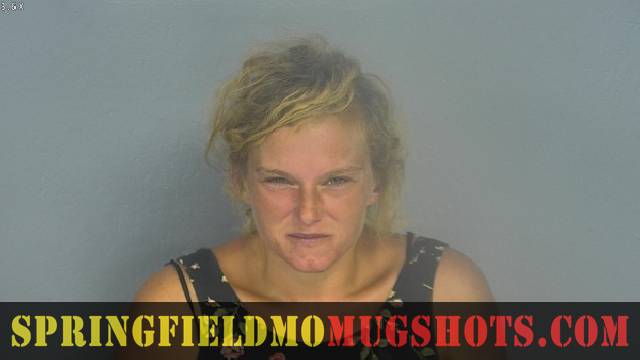Afton Cushman