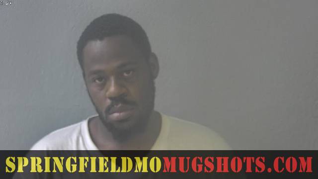 Robert Rice