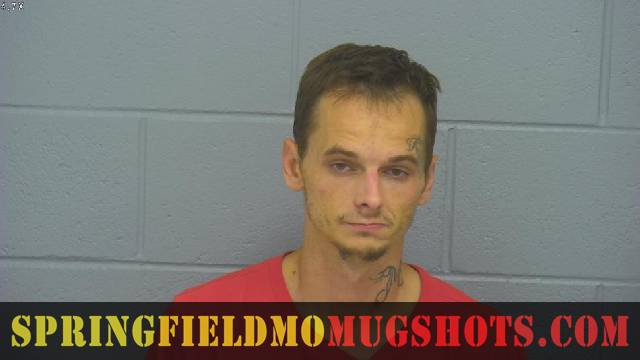 Branden Lansdown
