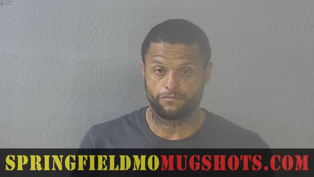 Derrell Pelliccio