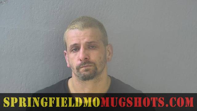 Andrew Versteegh