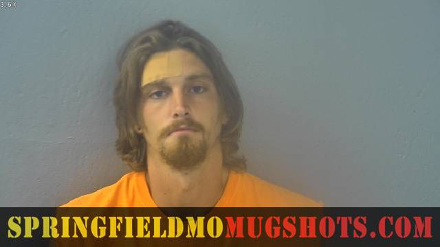 Stuart Bailey