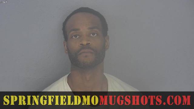 Kevin Adams