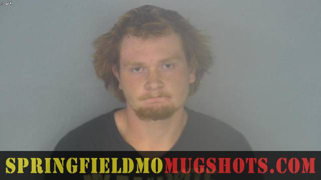 Timothy Webb