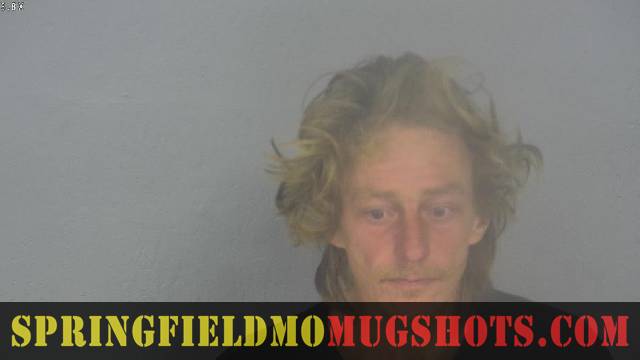 Harley Wood