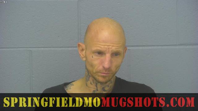 Shaun Williams