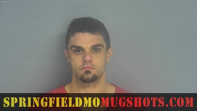 Timothy Adams