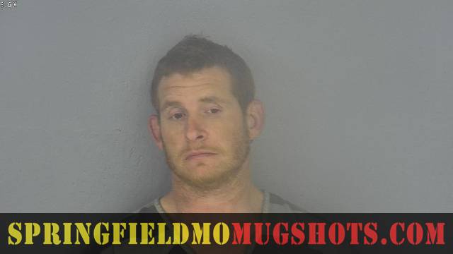 David Payne