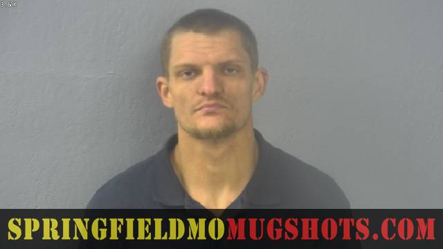 Harley Thiele