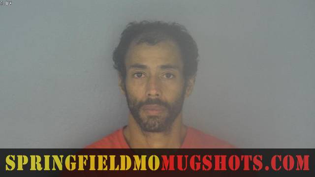 Michael Newsome