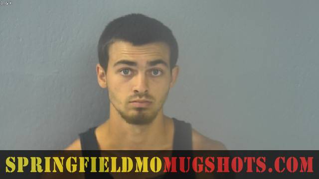 Tyler Wolfe