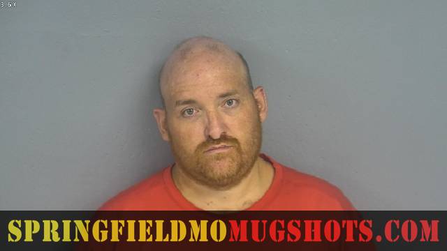 Stephen Willard