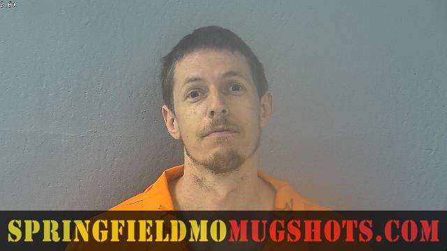 Michael Morris